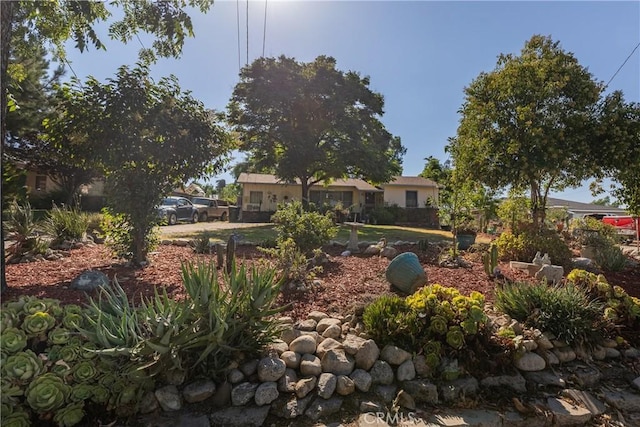 12788 17th St, Redlands, CA 92373 - photo 4