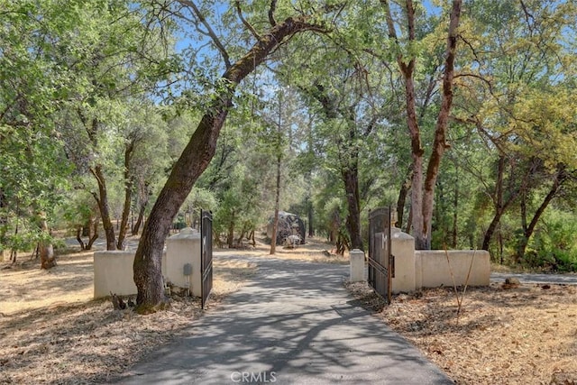 19555 Black Oak Ln, Grass Valley, CA 95949 - photo 20