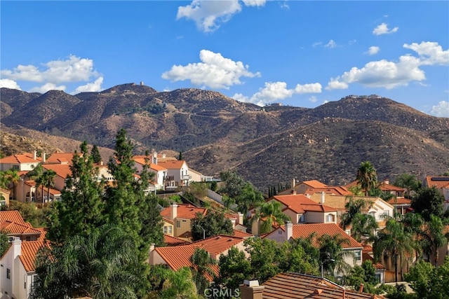25 Corte Rivera, Lake Elsinore, CA 92532 - photo 15