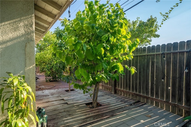 1605 E Caroline St, Ontario, CA 91764 - photo 30
