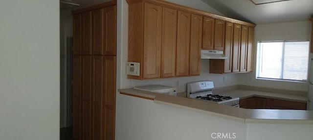 6350 Goleta Ave, Yucca Valley, CA 92284 - photo 5