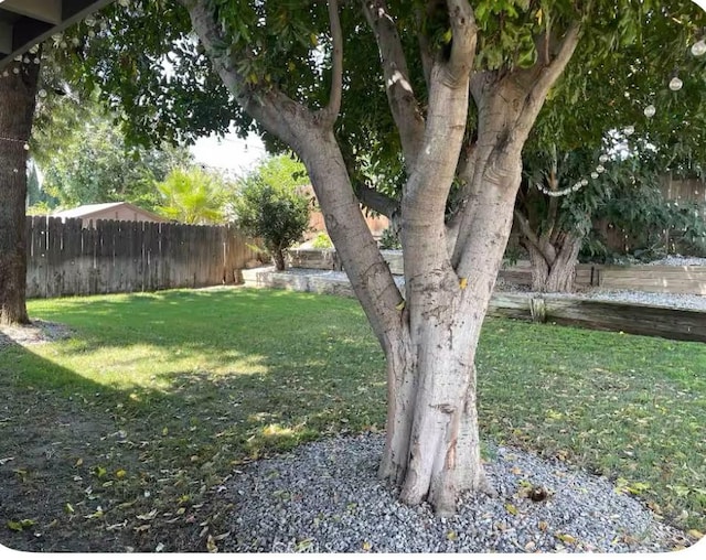 3143 Cabana St, Jurupa Valley, CA 91752 - photo 15