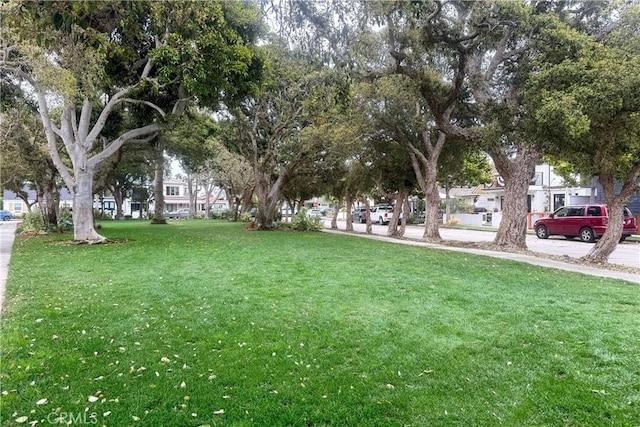 1730 Plaza Del Norte, Newport Beach, CA 92661 - photo 58