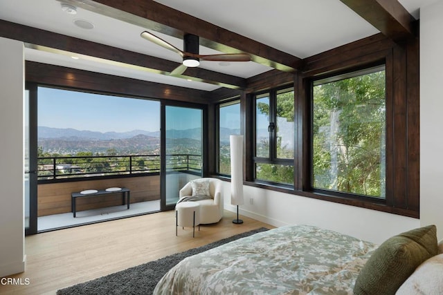 4209 Sea View Ln, Los Angeles, CA 90065 - photo 40