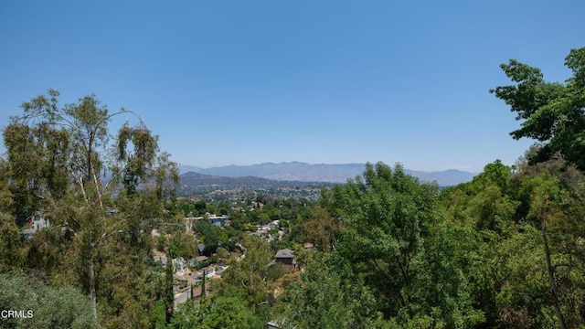 4209 Sea View Ln, Los Angeles, CA 90065 - photo 46