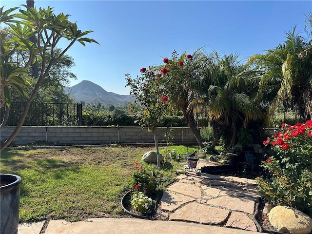 177 Dickenson Ave, Newbury Park, CA 91320 - photo 39