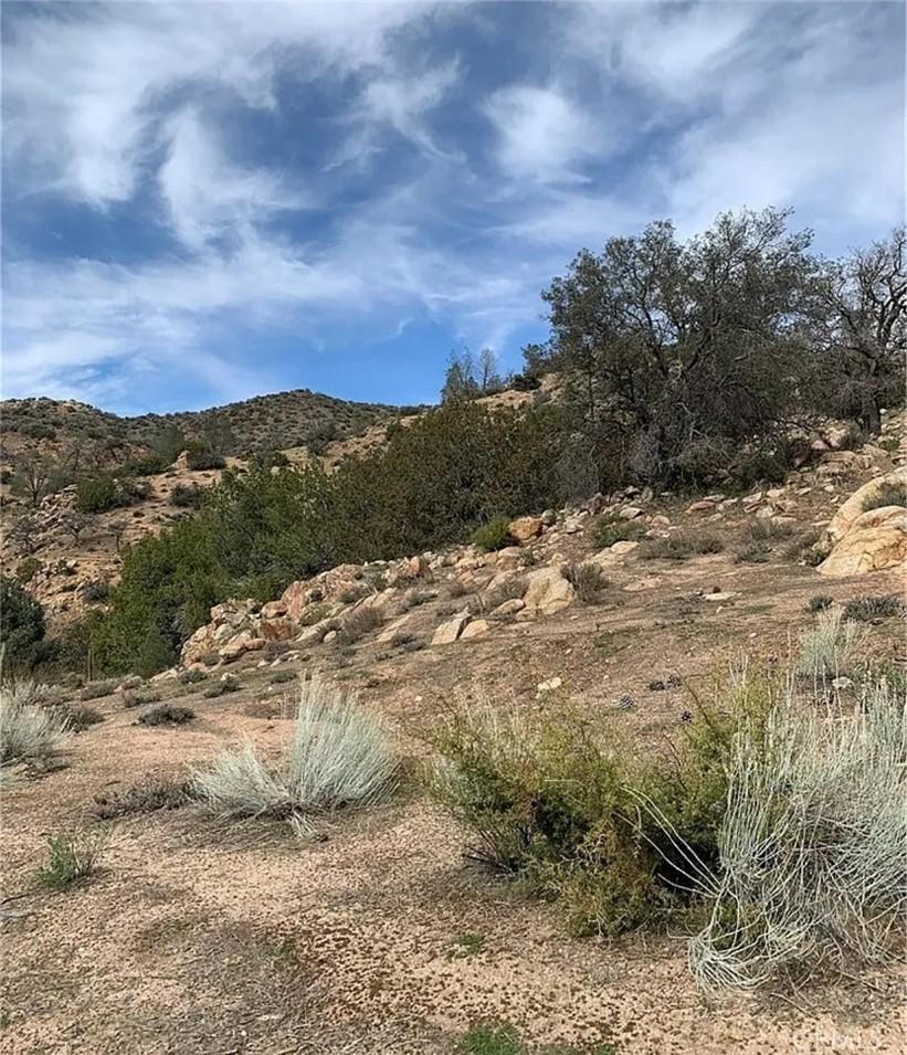 10900 Back Canyon Rd, Caliente, CA 93518 - photo 2