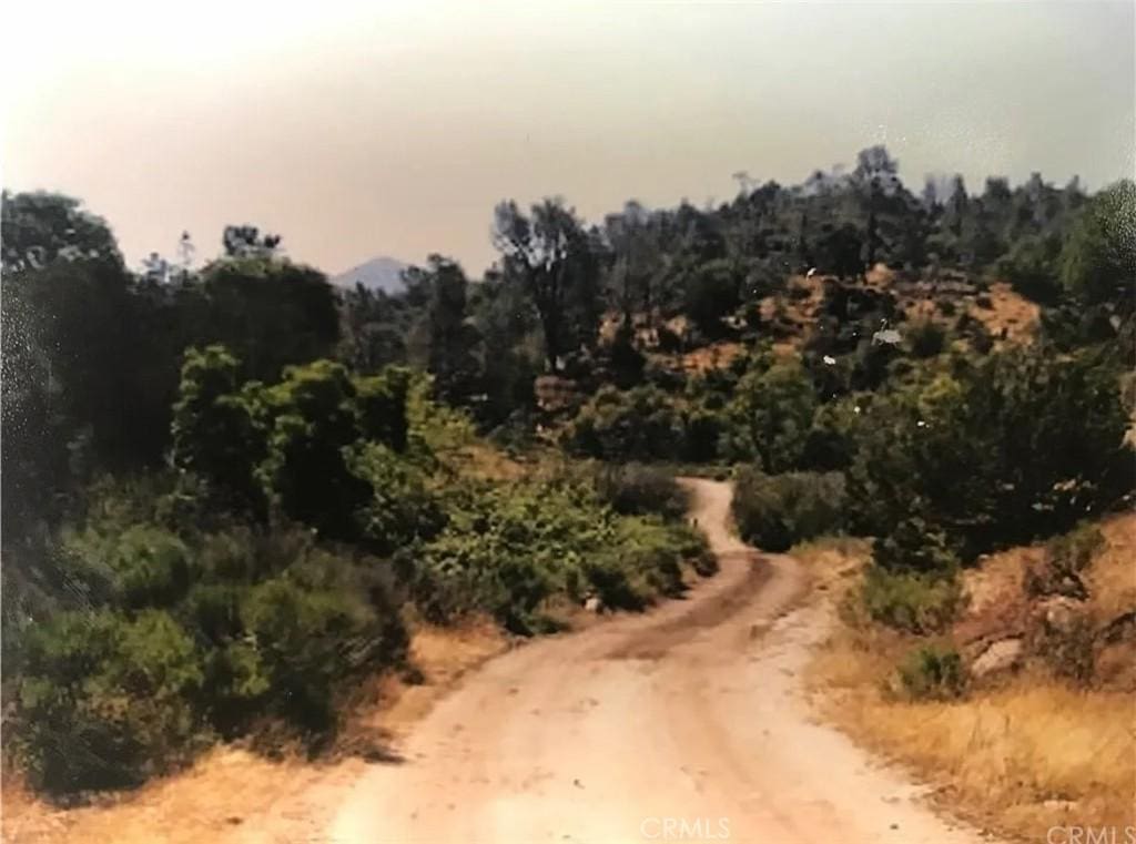 10900 Back Canyon Rd, Caliente, CA 93518 - photo 3