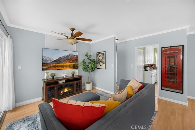 437 N Center St, Orange, CA 92866 - photo 5