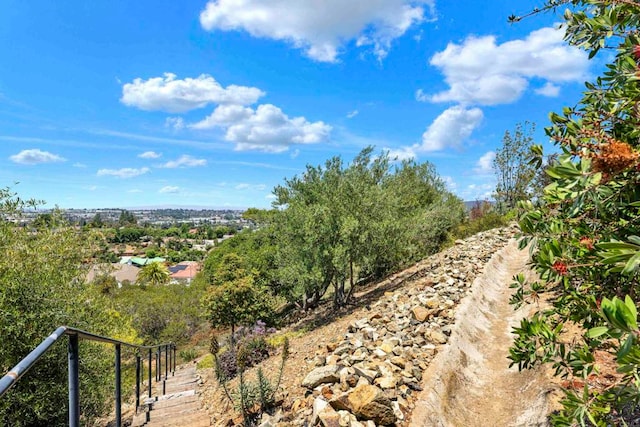 1310 Miracielo Ct, San Marcos, CA 92078 - photo 68