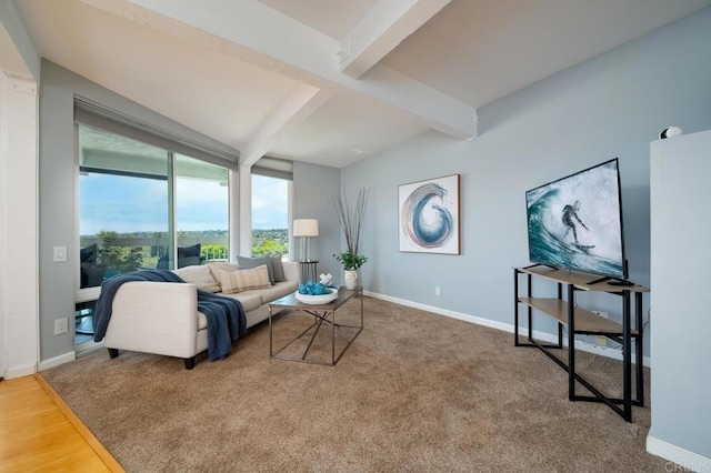 2319 Caringa Way Unit 58, Carlsbad, CA 92009 - photo 17