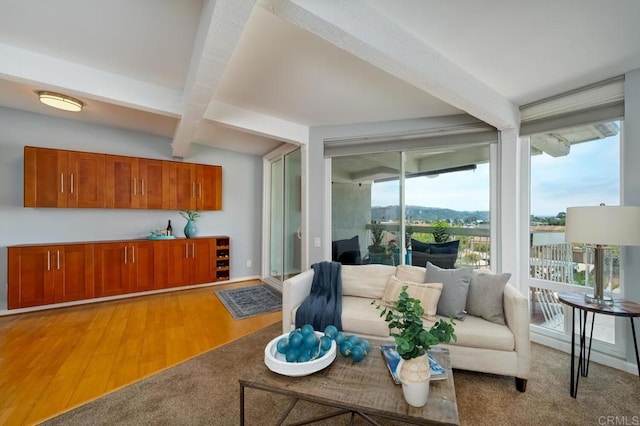2319 Caringa Way Unit 58, Carlsbad, CA 92009 - photo 20