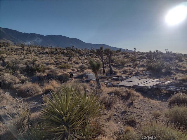 15 Tate Ln, Lucerne Valley, CA 92356 - photo 4