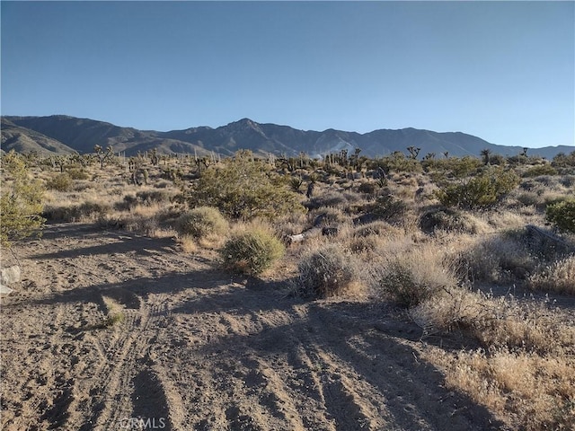 15 Tate Ln, Lucerne Valley, CA 92356 - photo 10