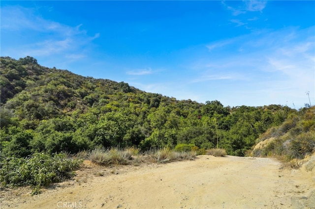 20219 Paradise Ln, Topanga, CA 90290 - photo 6
