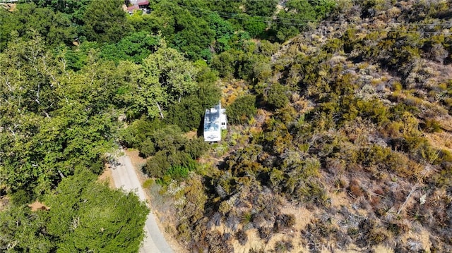 20219 Paradise Ln, Topanga, CA 90290 - photo 19