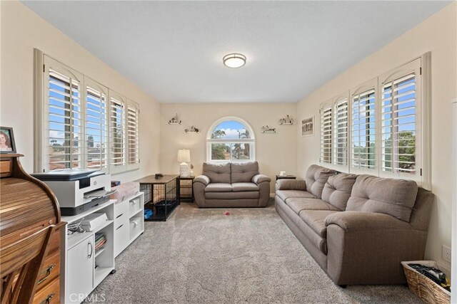 800 W 110th St, Los Angeles, CA 90044 - photo 29