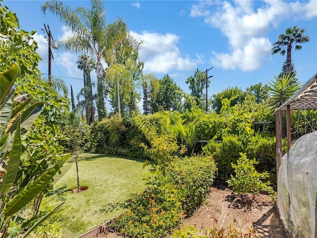 5169 Hesperia Ave, Encino, CA 91316 - photo 19
