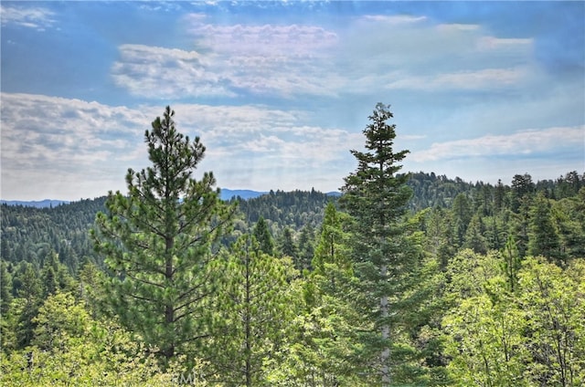 26354 Spyglass Dr, Lake Arrowhead, CA 92352 - photo 39