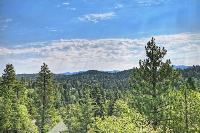26354 Spyglass Dr, Lake Arrowhead, CA 92352 - photo 40