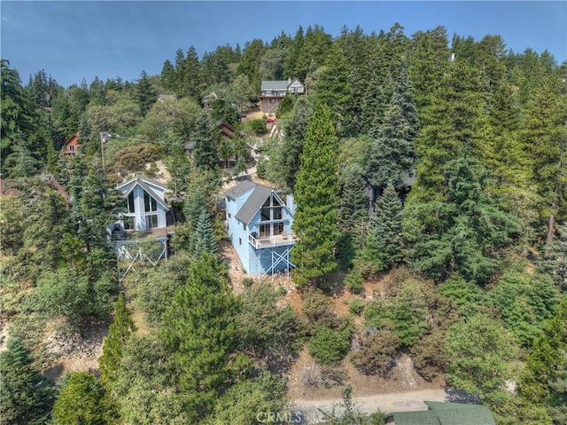 26354 Spyglass Dr, Lake Arrowhead, CA 92352 - photo 53