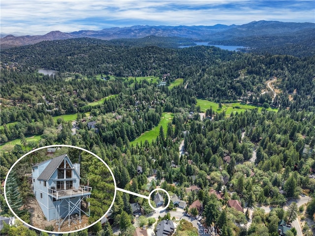 26354 Spyglass Dr, Lake Arrowhead, CA 92352 - photo 51