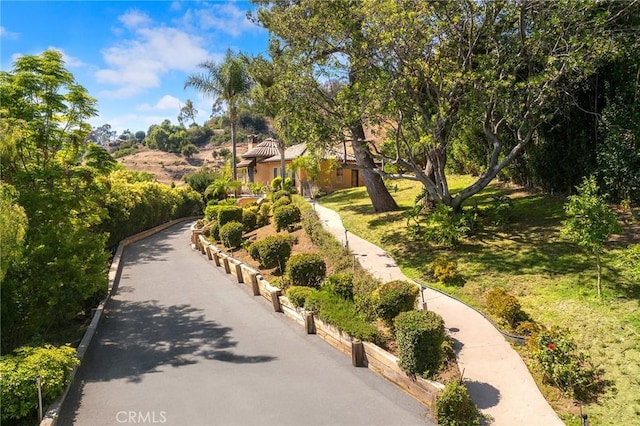 2135 Ardsheal Dr, La Habra Heights, CA 90631 - photo 4