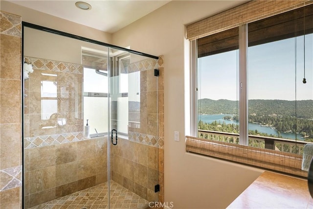 27692 Caribou Dr, Lake Arrowhead, CA 92352 - photo 33