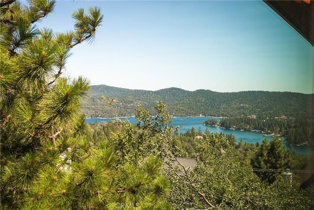 27692 Caribou Dr, Lake Arrowhead, CA 92352 - photo 17