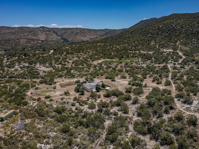 27035 Chihuahua Valley Rd, Warner Springs, CA 92086 - photo 62