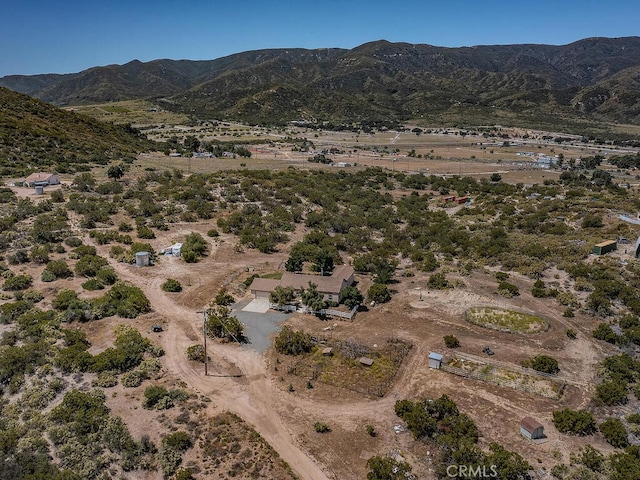 27035 Chihuahua Valley Rd, Warner Springs, CA 92086 - photo 50