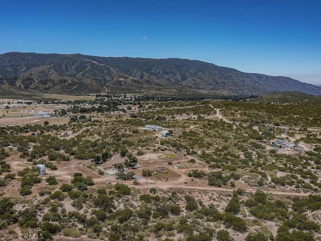 27035 Chihuahua Valley Rd, Warner Springs, CA 92086 - photo 53