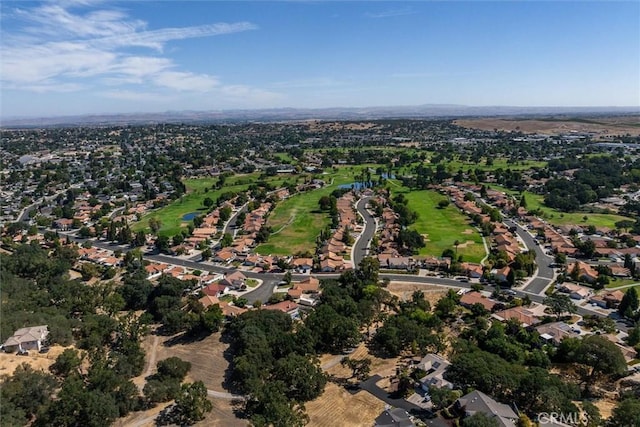895 Candlewood Ct, Paso Robles, CA 93446 - photo 50