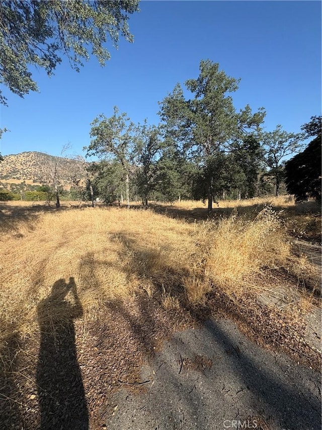 37980 Shorewood Ln, Squaw Valley, CA 93675 - photo 21
