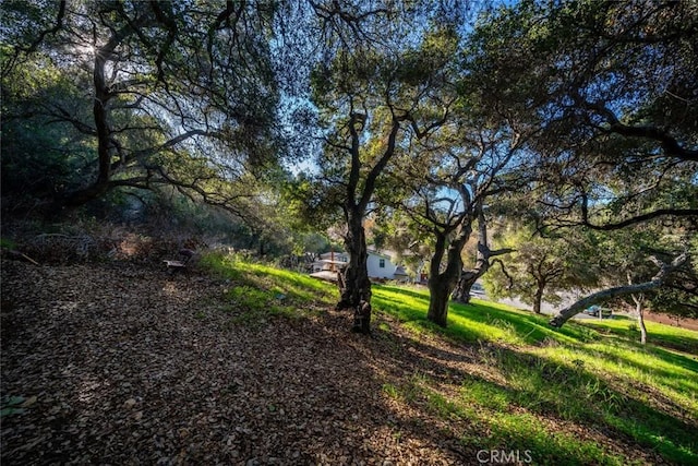 2171 San Luis Dr, San Luis Obispo, CA 93401 - photo 8