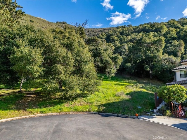 2171 San Luis Dr, San Luis Obispo, CA 93401 - photo 3