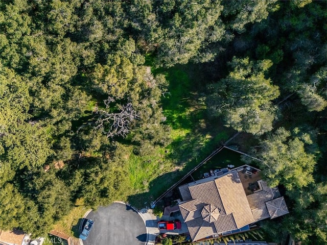 2171 San Luis Dr, San Luis Obispo, CA 93401 - photo 21