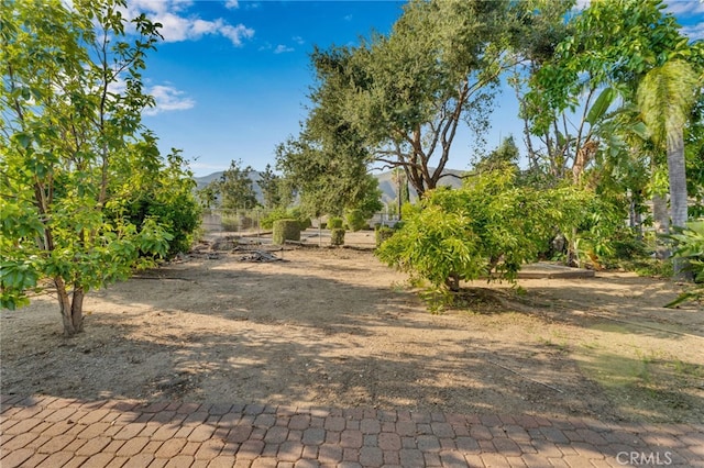 5338 Falling Tree Ln, Rancho Cucamonga, CA 91737 - photo 50