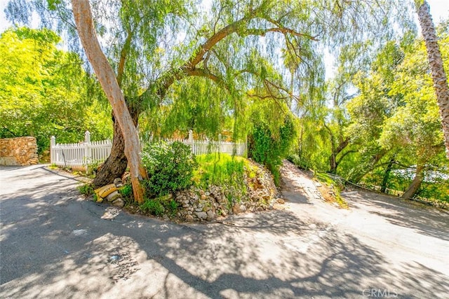 10058 Sunland Blvd, Shadow Hills, CA 91040 - photo 4