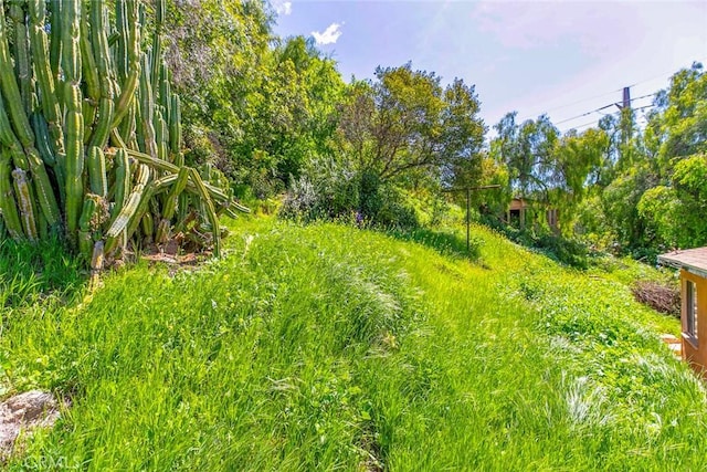 10058 Sunland Blvd, Shadow Hills, CA 91040 - photo 22