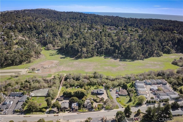 1550 Main St, Cambria, CA 93428 - photo 74