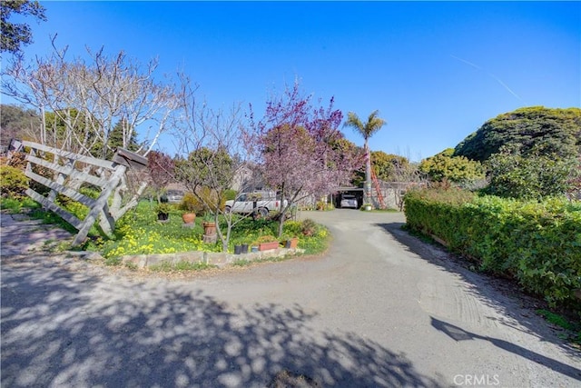 1550 Main St, Cambria, CA 93428 - photo 52