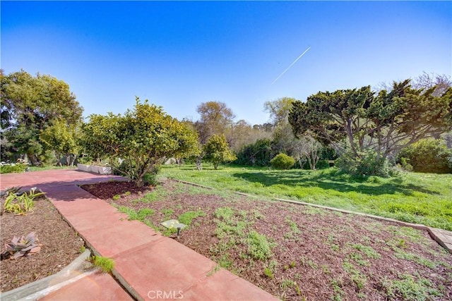 1550 Main St, Cambria, CA 93428 - photo 46