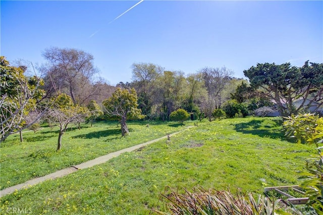 1550 Main St, Cambria, CA 93428 - photo 49
