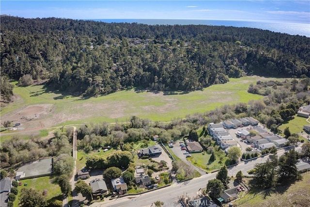 1550 Main St, Cambria, CA 93428 - photo 73