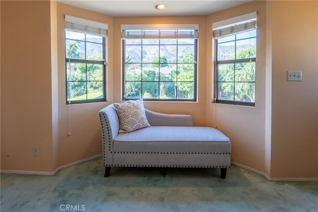 439 W Virginia Ave, Glendora, CA 91741 - photo 44