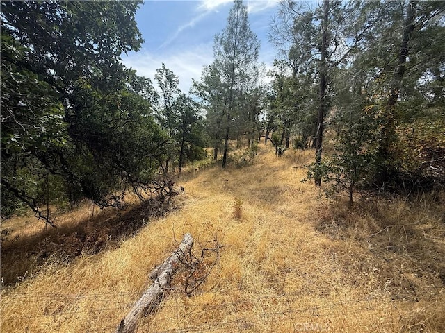16295 Hillcrest Dr, Corning, CA 96021 - photo 2