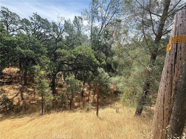 16295 Hillcrest Dr, Corning, CA 96021 - photo 5