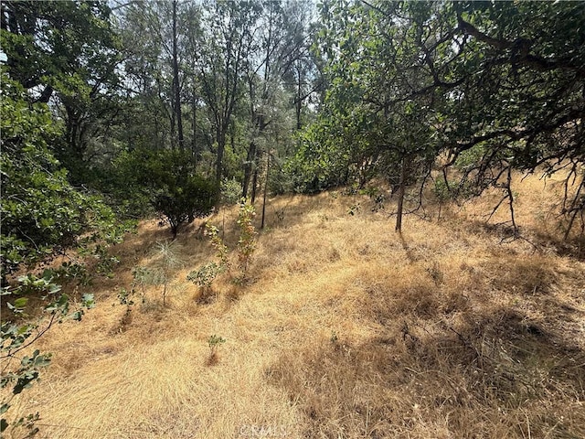 16295 Hillcrest Dr, Corning, CA 96021 - photo 3