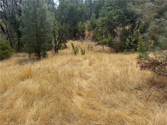 16295 Hillcrest Dr, Corning, CA 96021 - photo 4